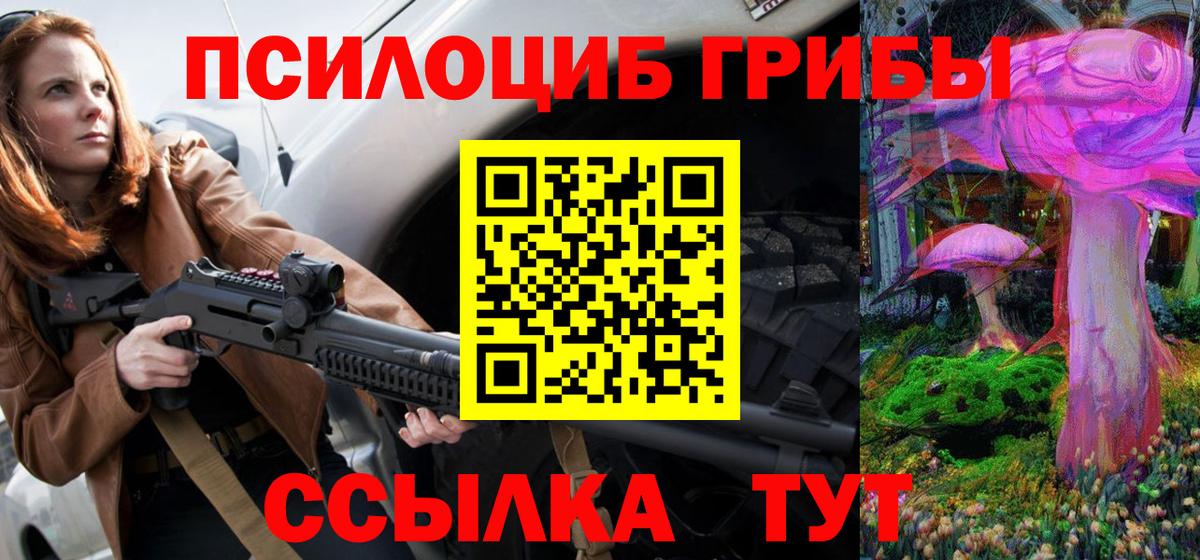 Галлюциногенные грибы Cubensis  Вход с VPN  Советская Гавань 
