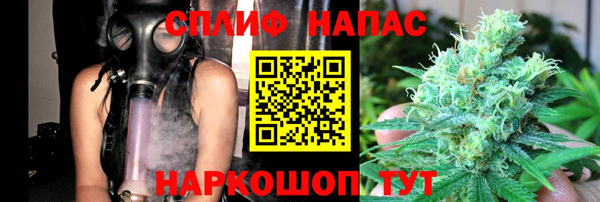 Конопля гибрид Советская Гавань